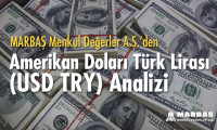 Dolar/TL analizi