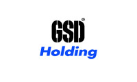 GSD Holding'den hisse alımı