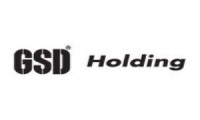 GSD Holding'de hisse satışı