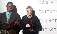 Bill Gates Afrika'ya 100 bin tavuk gönderiyor