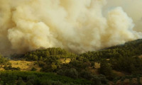 Kumluca'da yangın tekrar başladı