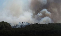Yarımada'daki orman yangını kontrol altına alındı