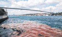İstanbul Boğazı’nın rengi kızıla döndü!