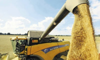 Buğday ithaline Ukrayna ile çözüm arayışı