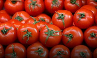İsrail'den 'Türk domatesi' kararı