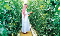 Türkiye ile Katar arasında tarım iş birliği