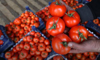 Türkiye ve Rusya'dan 'domates' imzası