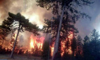 Bolu'da büyük yangın! Mahalle boşaltıldı