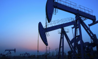 BP: 2030'da küresel petrol talebi zirve yapacak