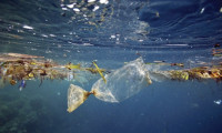 AB, tek kullanımlık plastikleri yasaklıyor