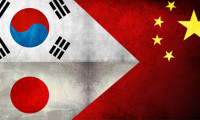 Japonya, Çin ve Güney Kore'den korumacılık uyarısı