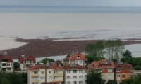 3 Milyon TL'lik fındık Karadeniz'e döküldü!