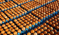 Yumurta ihracatçılarından ABD hamlesi