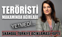 İşveçli Bakan Linde'den skandal Türkiye açıklamaları