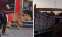 Irak'ta polis köpeklerle müdahale edince eylemciler aslan getirdi