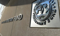 IMF'e küresel bir krize karşı yetersiz eleştirisi