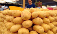 Patates fiyatı artışında Rusya'nın ardından ikinciyiz