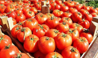 Rusya'dan domates kotasına karşılık et ihracatı talebi