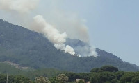 Muğla'da orman yangını! Müdahale ediliyor