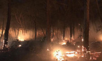 Dalaman'da orman yangını: İki mahalle boşaltıldı