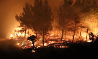 Çanakkale Tarihi Gelibolu Yarımadası'nda orman yangını