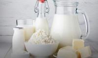Süt ve süt ürünlerinde rekor ithalat 