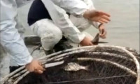 Yasa dışı avlanan 2 ton balık suya bırakıldı