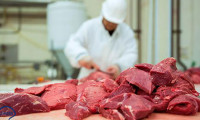 Kırmızı et üreticilerinden 'sıkıntı yok' mesajı