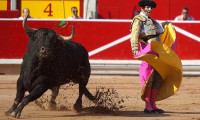 İspanya'nın ünlü boğa festivali iptal edildi