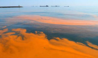 Marmara Denizi'nin rengi turuncuya döndü