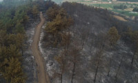 Gelibolu Yarımadası'ndaki yangın kontrol altına alındı