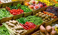 Rusya'ya 6 ayda 507 bin 143 ton yaş meyve sebze satıldı