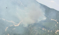 Menderes'te yine orman yangını