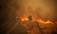 Trump Kaliforniya'daki yangınları 'büyük afet' ilan etti