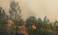 Adana'da orman yangını: 6 köy boşaltıldı