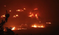 İzmir'deki orman yangını sebebiyle boşaltılan bir site yandı
