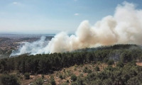 Aydos Ormanı'nda yangın: 1 kişi gözaltına alındı