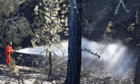 Pakdemirli: Ankara'daki orman yangını büyük ölçüde kontrol altına alındı