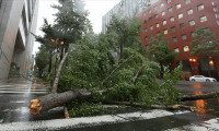 Japonya'da Haişen tayfunu şoku