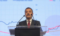 Kavcıoğlu: Enflasyondaki yükseliş geçici