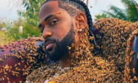 Ünlü rapçi yeni şarkısı için 65 bin arıyla poz verdi