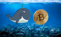 Bitcoin'de balinalar fırsatı kaçırmadı: Dipten alım yaptı