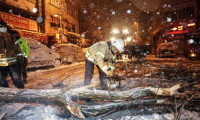 İstanbul'da çok sayıda ağaç kar yağışına dayanamadı