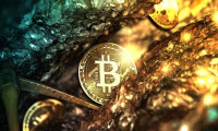Ünlü ekonomist Nouriel Roubini: Bitcoin fiyatını manipülasyon yükseltiyor