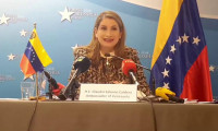 AB, Venezuela temsilcisini 'istenmeyen kişi' ilan etti