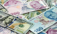 Türk Lirası’nda değer kaybı dolar karşısında yüzde 3'ü aştı