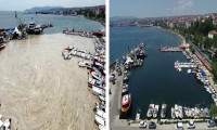 Marmara'da 3 günde 733 metreküp müsilaj toplandı