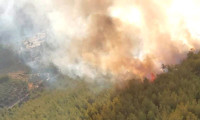 Muğla'da Ula ilçesindeki yangının ardından bir yangın da Milas'ta başladı