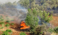 Mardin’de orman yangını