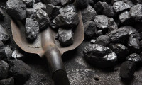 Taş kömürü satışından 186 milyon lira gelir 
